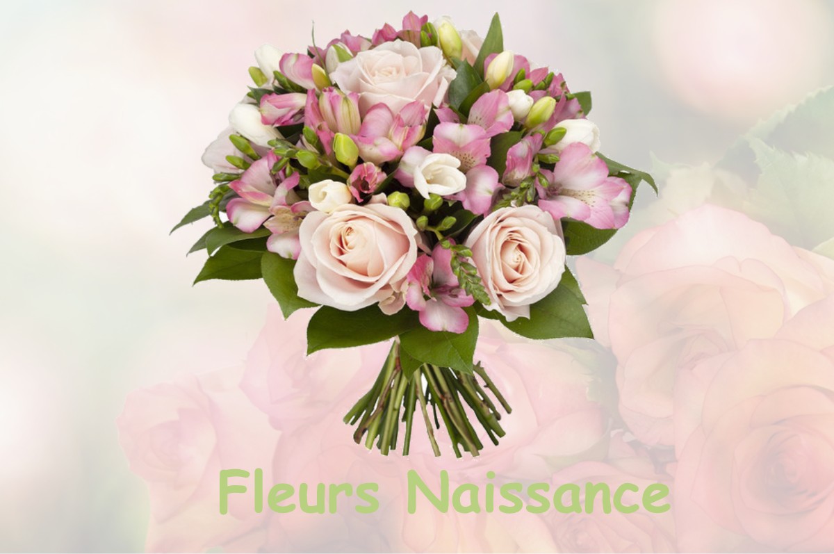 fleurs naissance SANDILLON