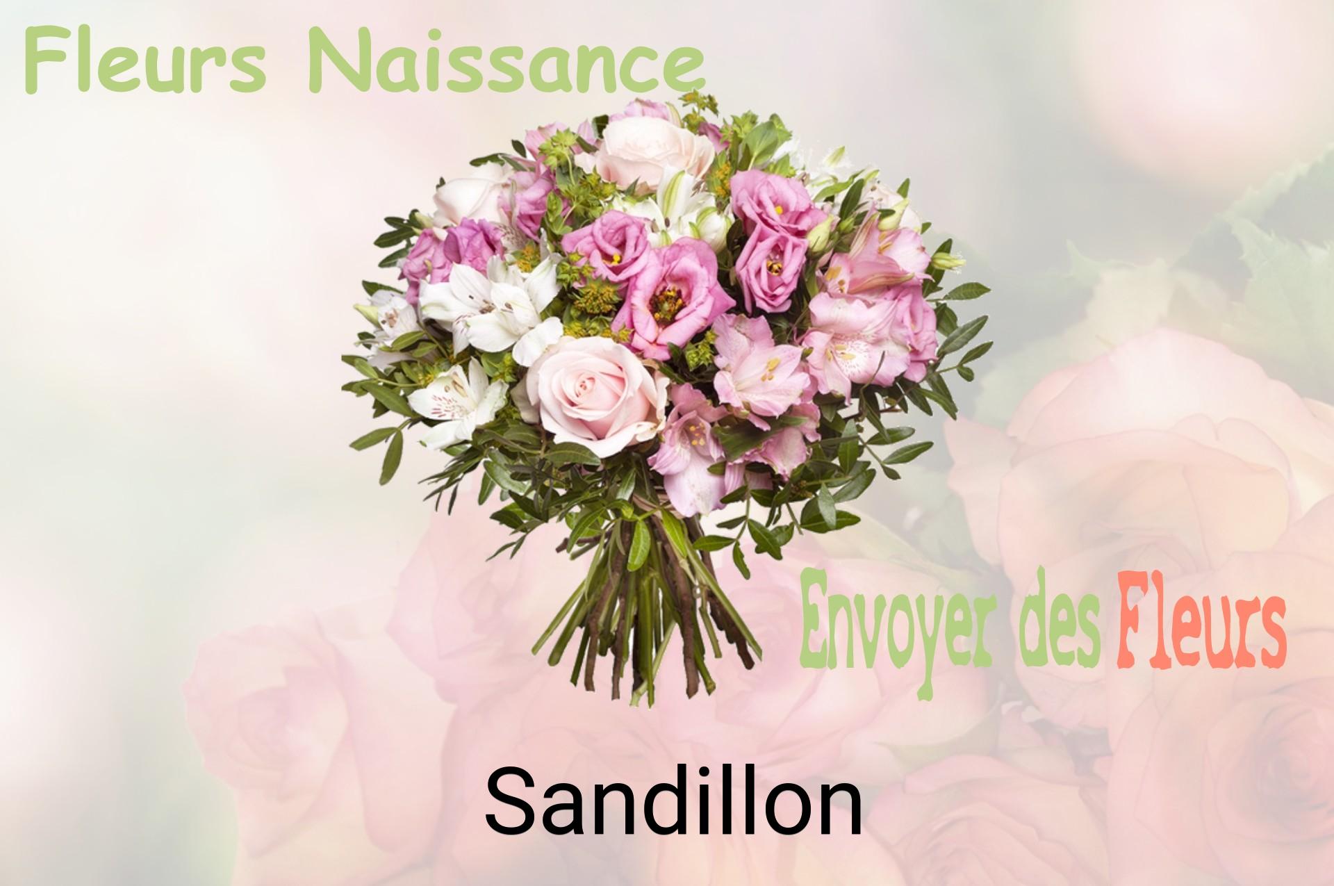 Bouquet de fleurs de naissance livré à Sandillon