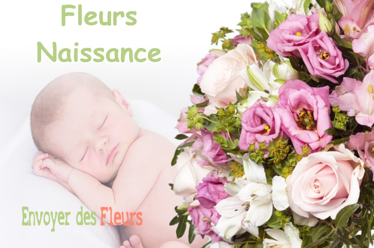 lIVRAISON FLEURS NAISSANCE à SANDILLON